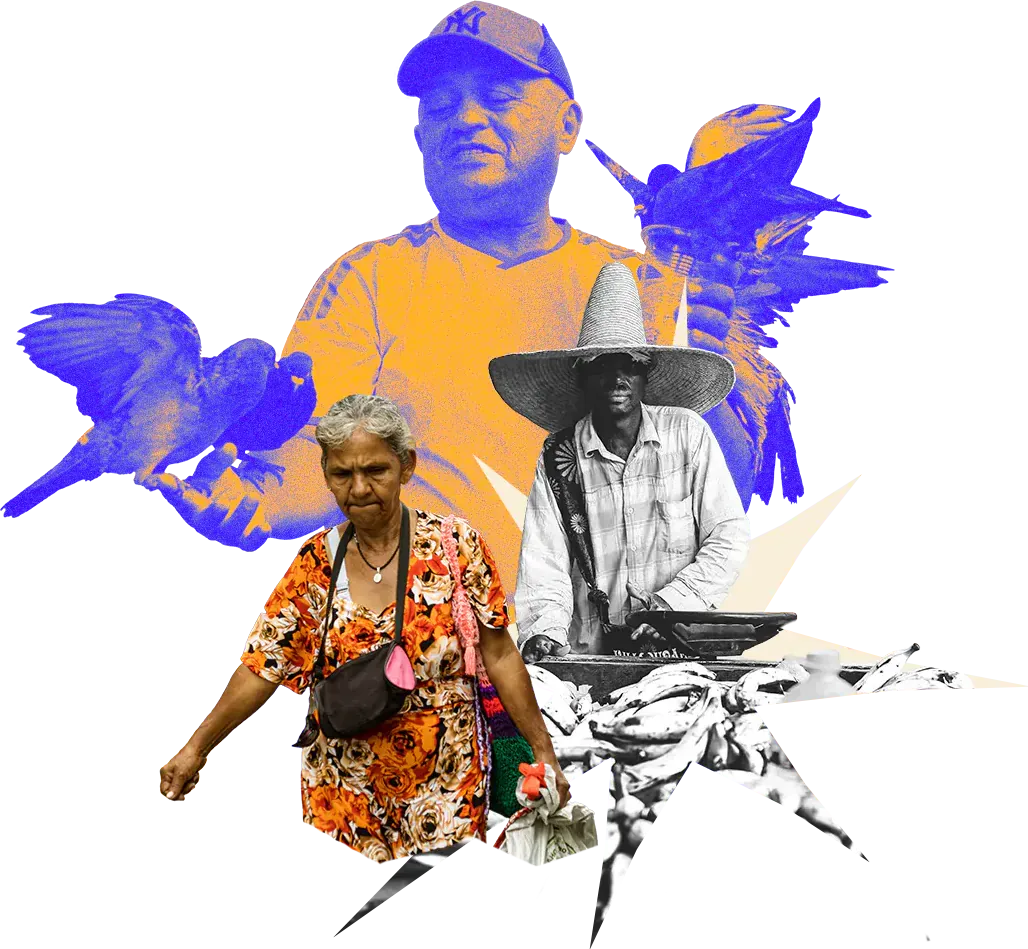Collage: un hombre con gorra, una mujer mayor con bolso, un campesino con sombrero y aves azules.